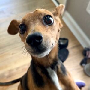 Meet your Posher, Aubrie